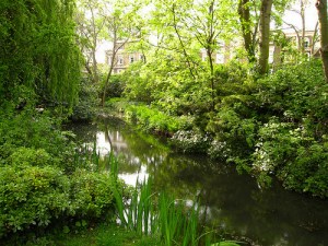 New River Walk Canonbury