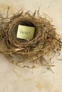 Vacant empty nest