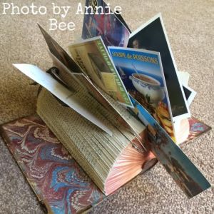 Annie Bee's book art