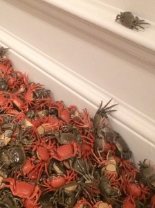Ai Weiwei porcelain crabs