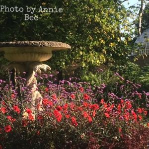 Swiss Garden at Shuttleworth, Old Warden, Bedfordshire
