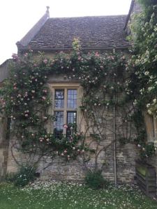 roses at Asthall Manor