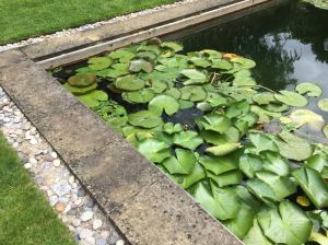 swimming pond at Asthall Manor
