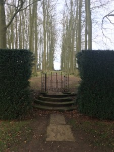 Beech Allee at Hidcote