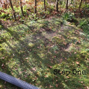 Chicken wire at the bottom of the compost bin