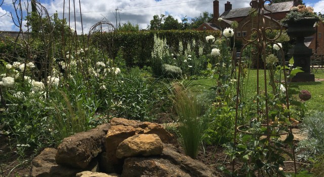 Annie Bee's white garden north border