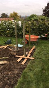 postcreting the first 3 posts