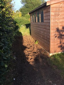 bare soil after the turf stack was removed