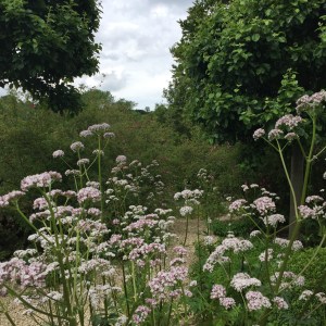 Jinny Blom @ Temple Guiting